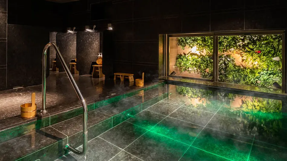 Natural Hot Spring Oku-Yugawara no Yu Super Hotel Premier Ginza