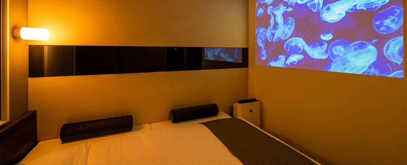 Natural Hot Spring Oku-Yugawara no Yu Super Hotel Premier Ginza
