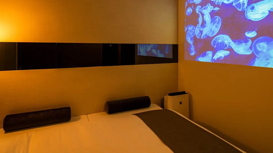 Natural Hot Spring Oku-Yugawara no Yu Super Hotel Premier Ginza