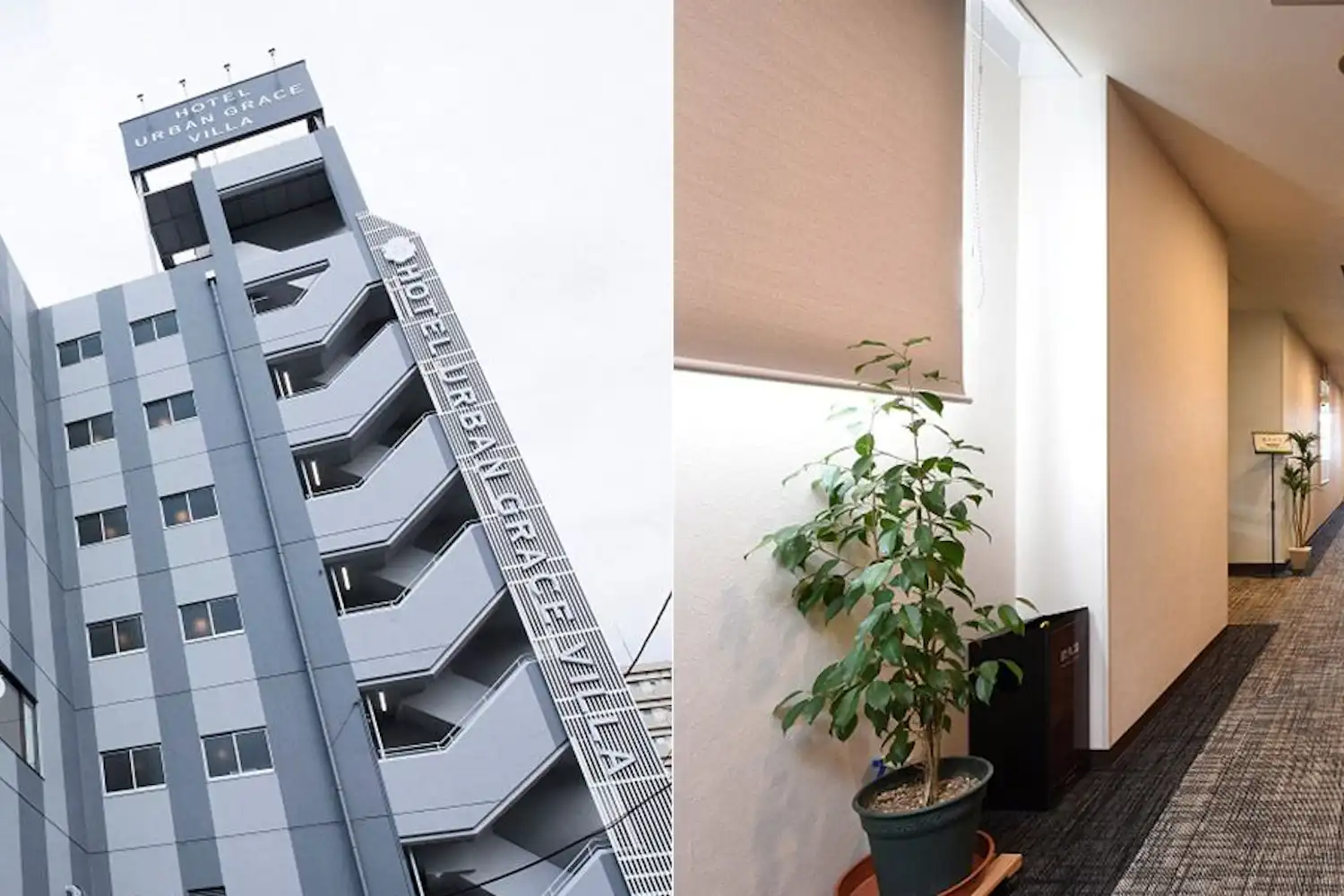 ภายนอกและล็อบบี้