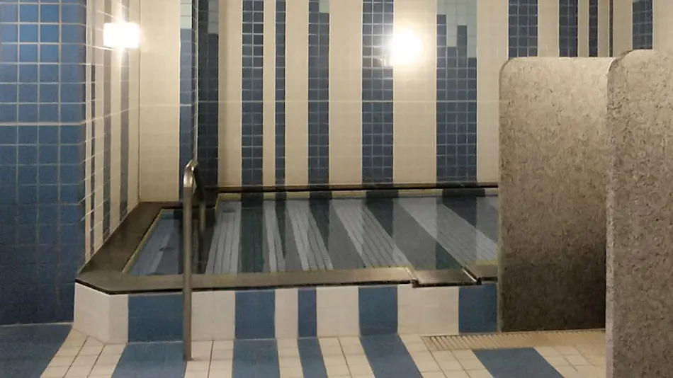 Green Rich Hotel Nagoya Nishiki (Artificial Hot Spring Futamata Yunohana)