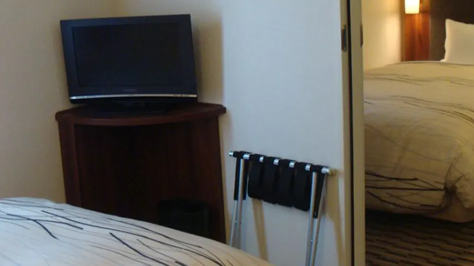 Uozu Manten Hotel Ekimae (Manten Hotel Chain)