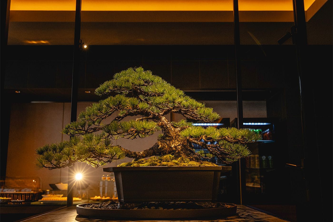 茶論-さろん- 憩