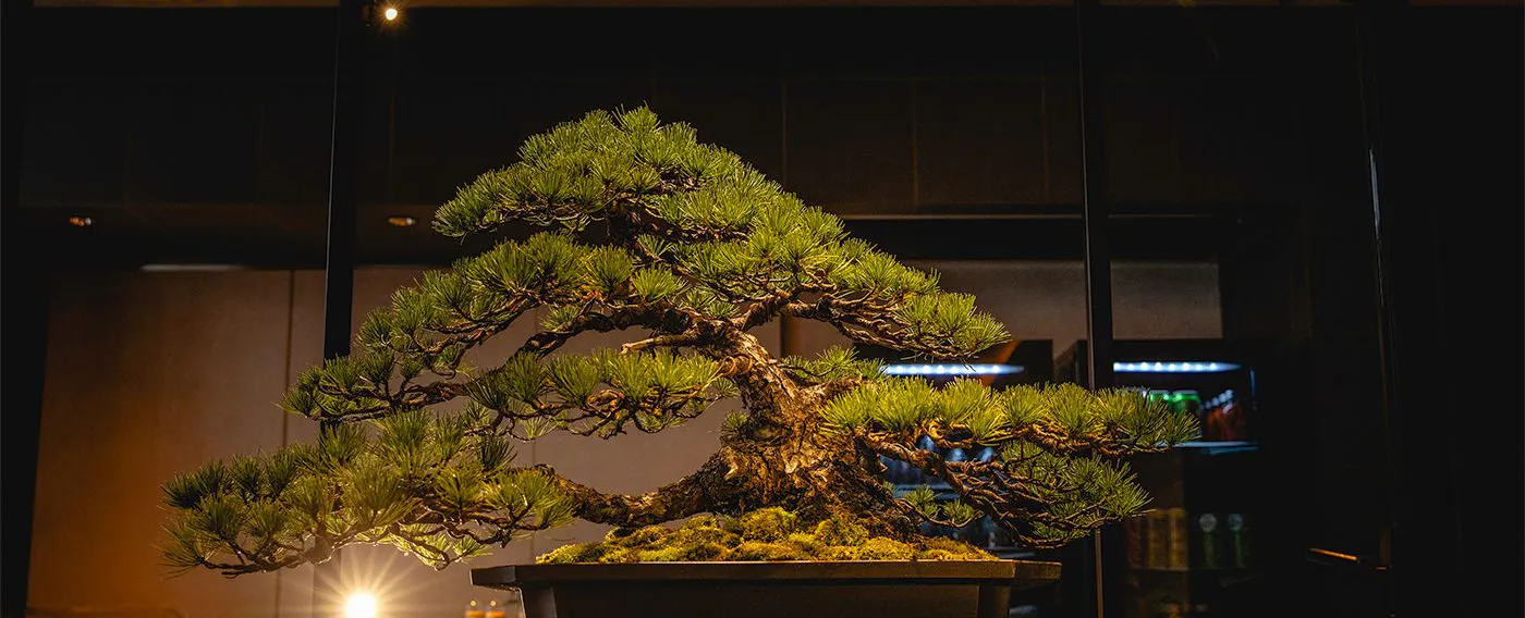 茶論-さろん- 憩