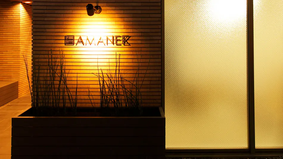 HOTEL AMANEK Ginza East