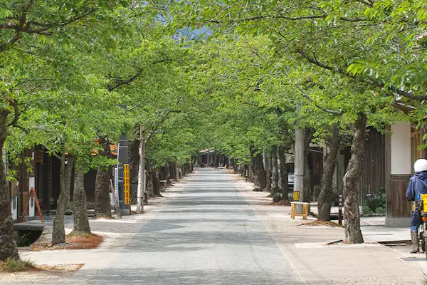 ทิวทัศน์