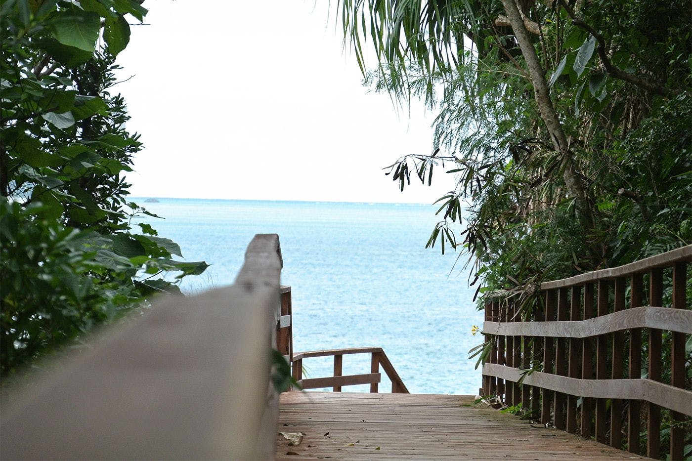 하얀 모래 해변