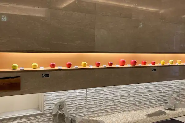 การตกแต่งภายใน