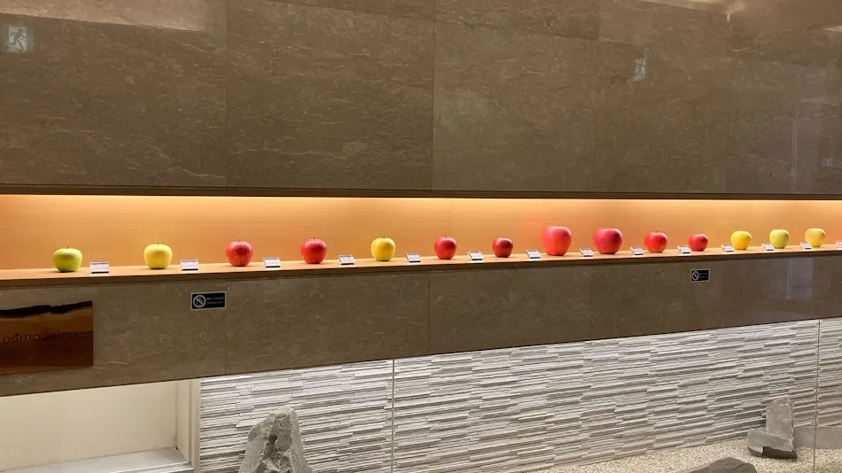 Richmond Hotel Aomori