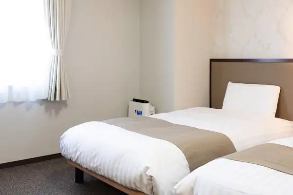 ห้องพักแบบทวินอีโคโนมี