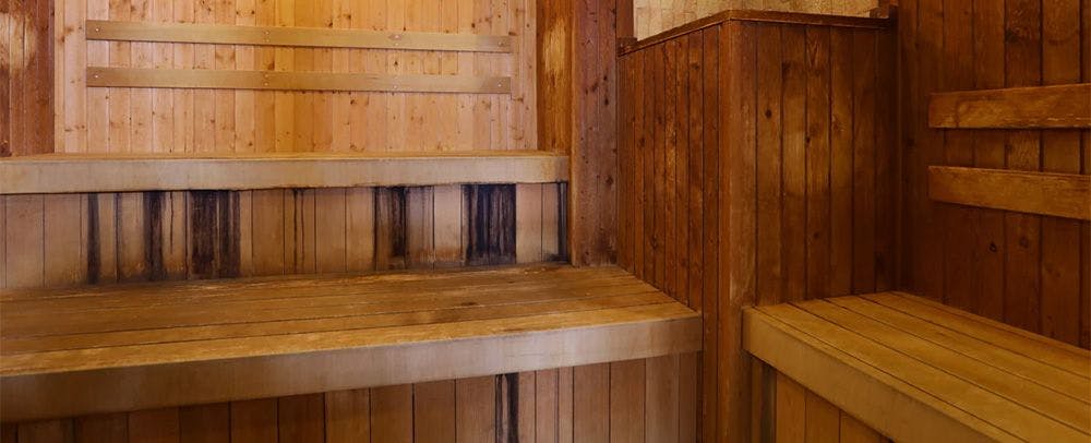 사우나