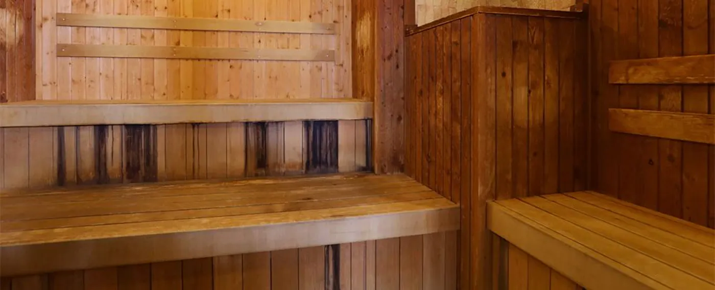 사우나