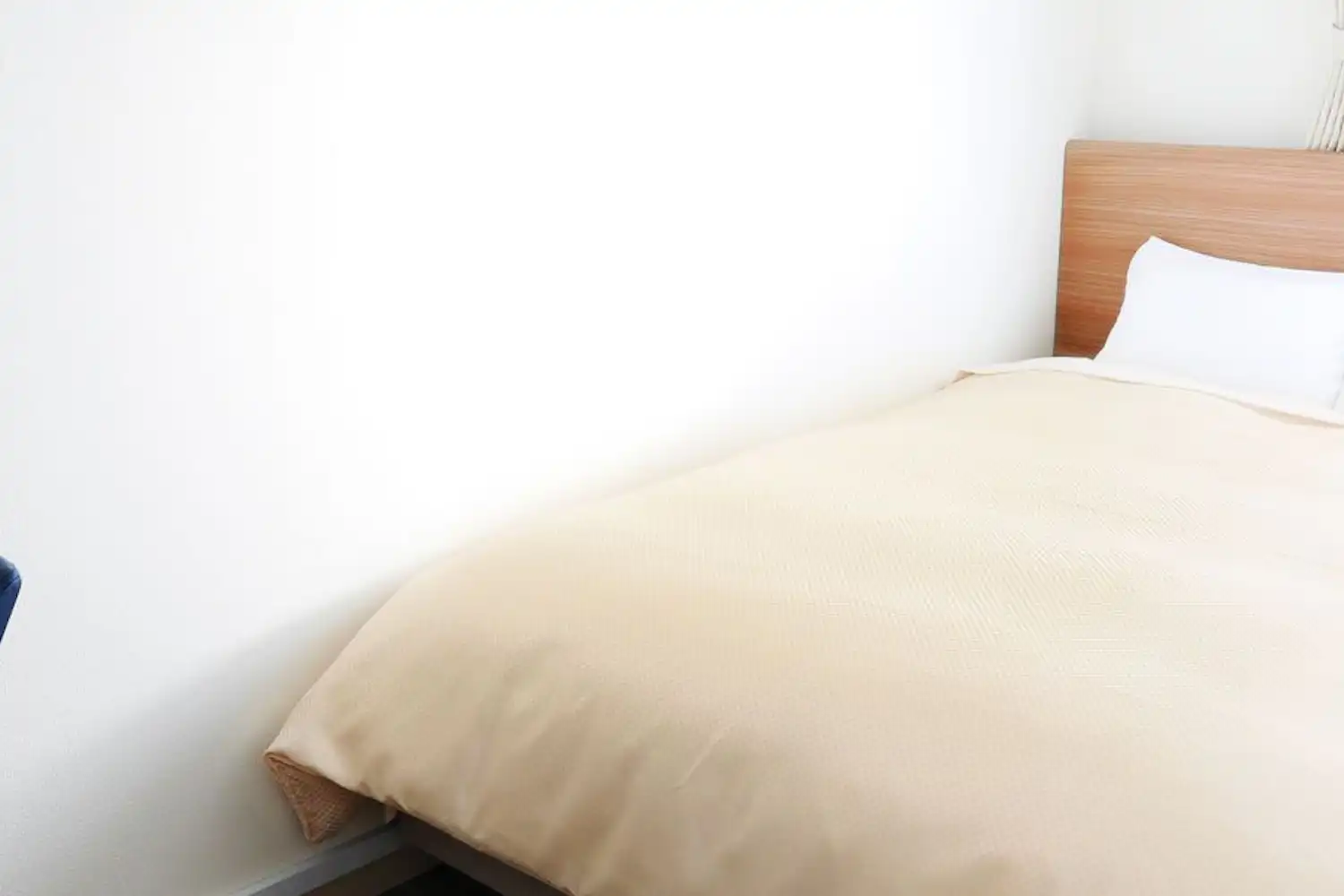 สแตนดาร์ดซิงเกิล