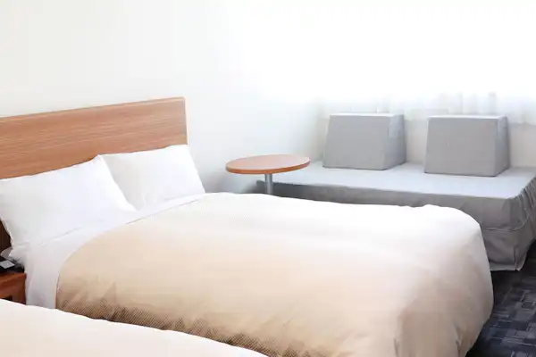 สแตนดาร์ดทวิน