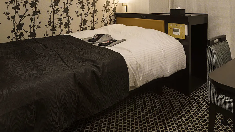 APA Hotel <Iidabashi-Ekiminami>