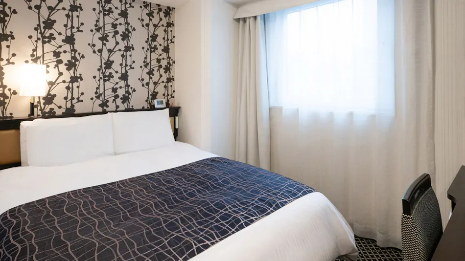 APA Hotel <Iidabashi-Ekiminami>