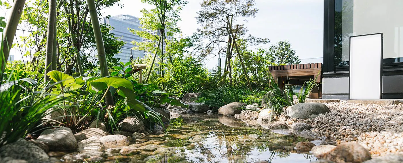 Anak sungai di taman