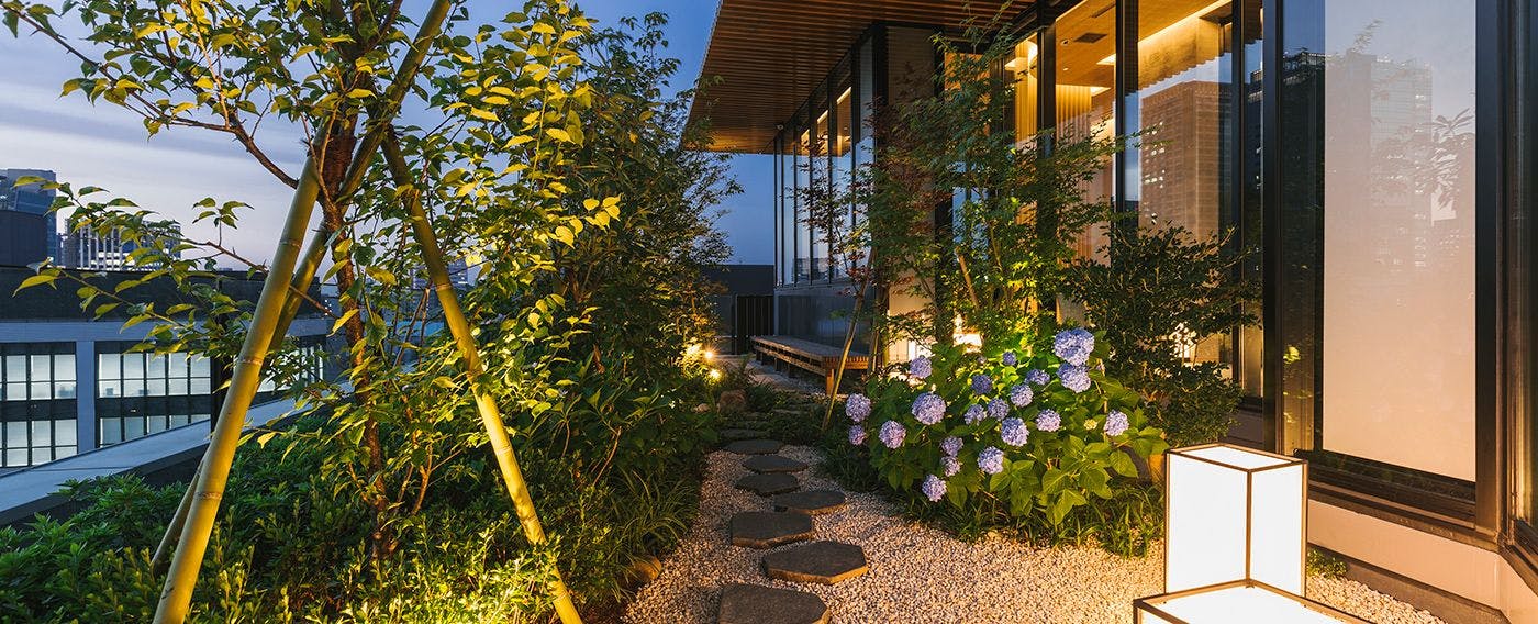 Pemandangan malam taman