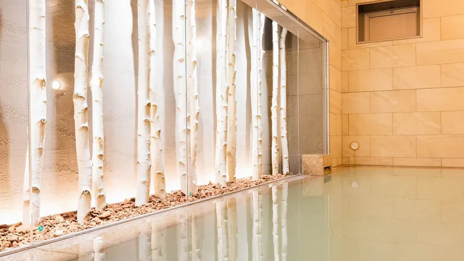 Shirakaba no Yu Tabino Hotel lit Matsumoto