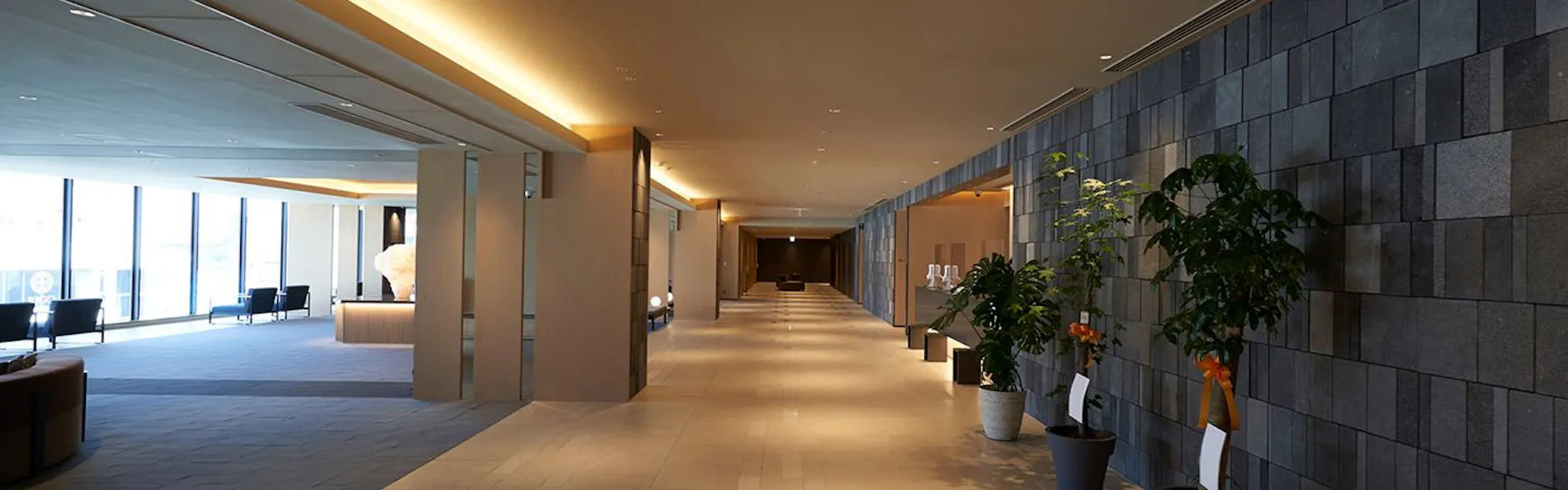 ダイワロイネットホテル鹿児島天文館 PREMIER