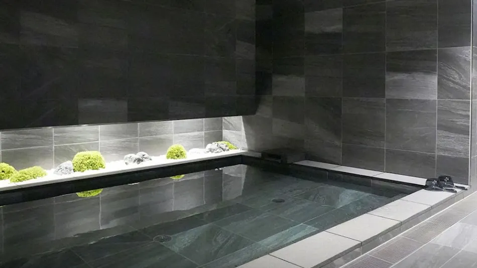 Daiwa Roynet Hotel Matsue Ekimae