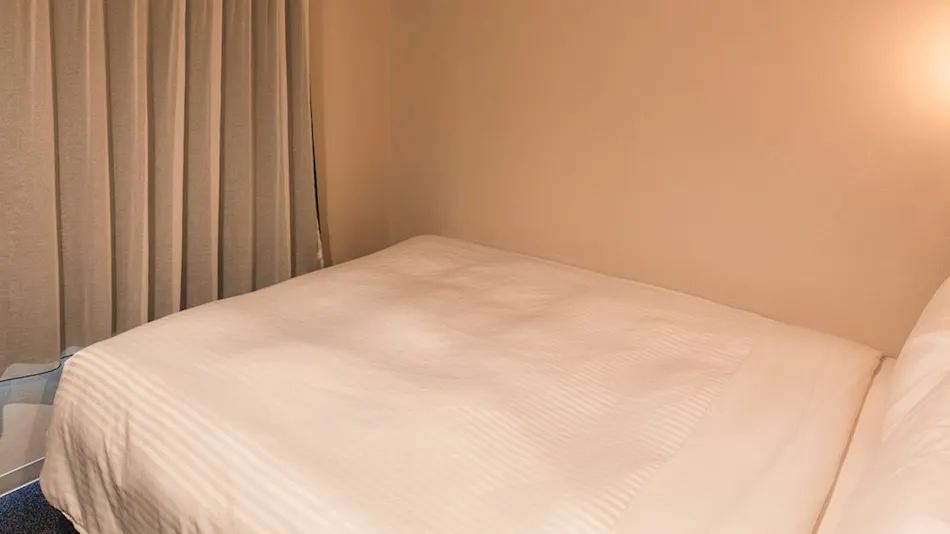 Sotetsu Fresa Inn Hamamatsucho Daimon