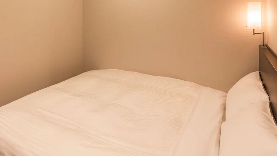 Sotetsu Fresa Inn Hamamatsucho Daimon