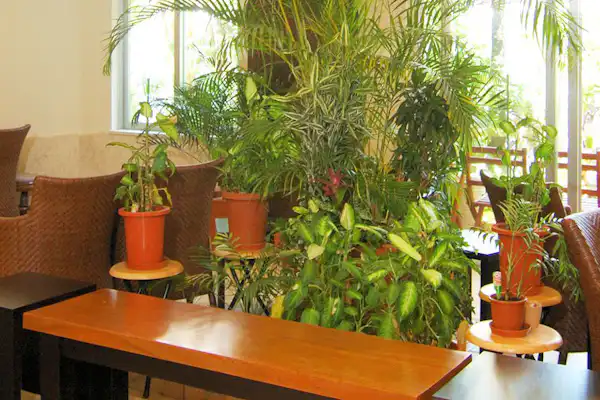 ล็อบบี้