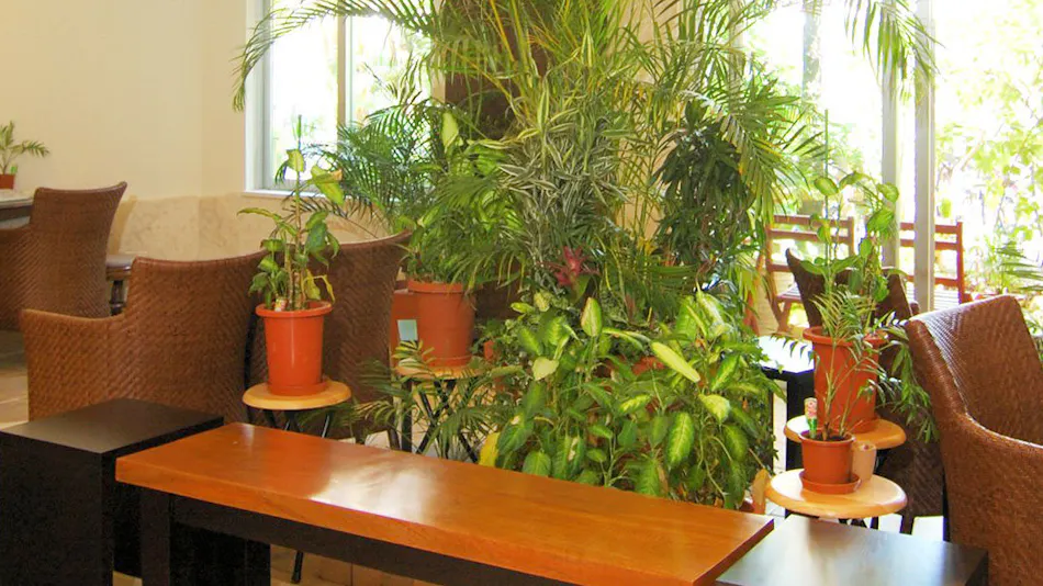 Hotel Grand View Okinawa