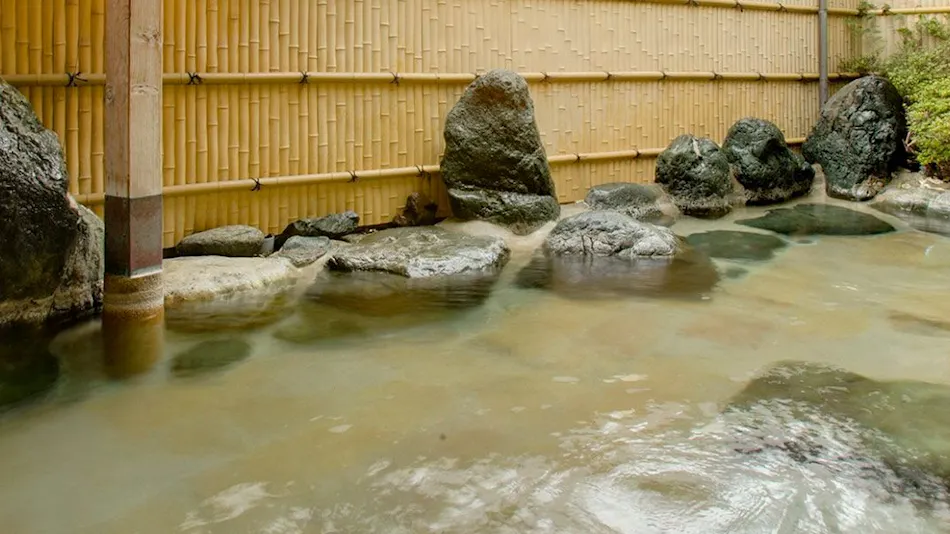 Hotel Fuji Ryugamine