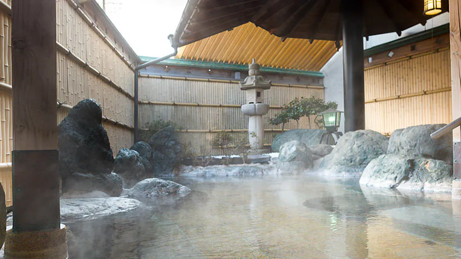 Hotel Fuji Ryugamine