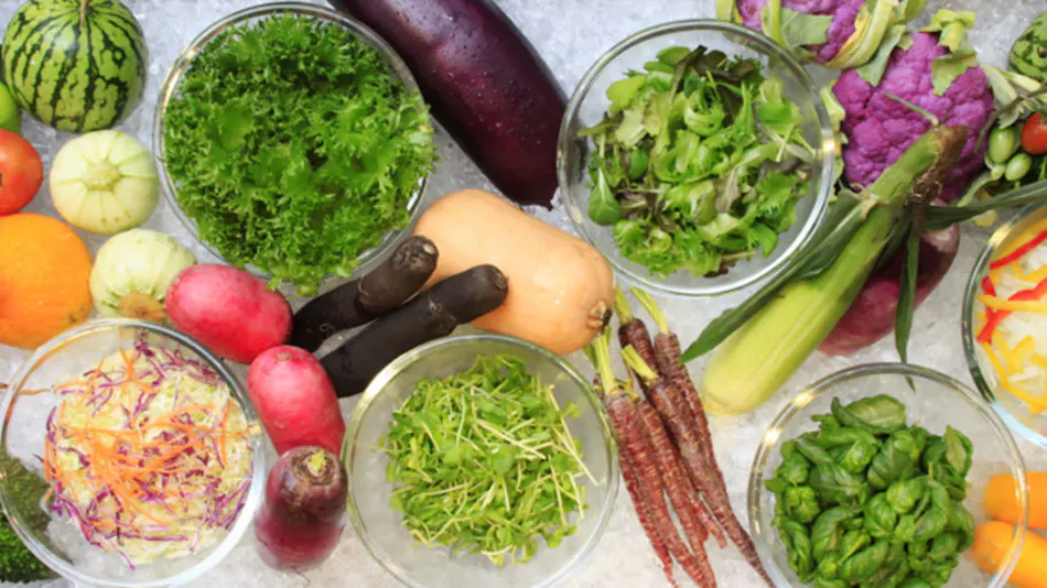 Quintessa Hotel Osaka Shinsaibashi Comic & Books