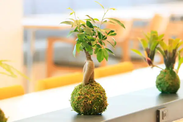 บุฟเฟ่ต์อาหารเช้า