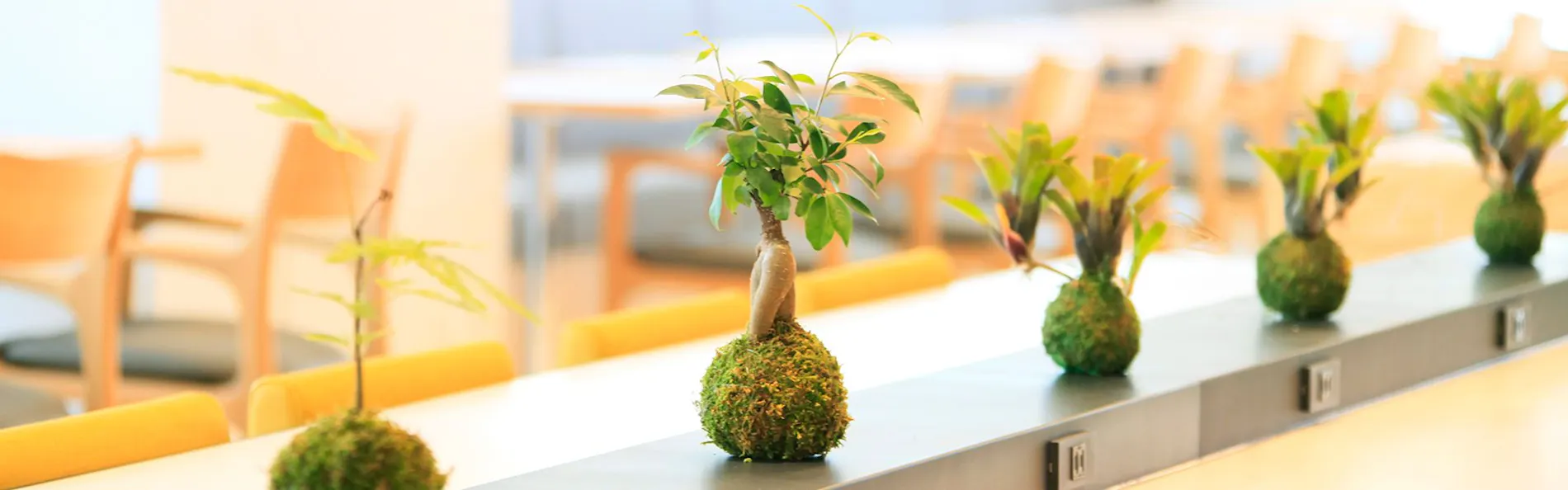 リッチモンドホテル姫路