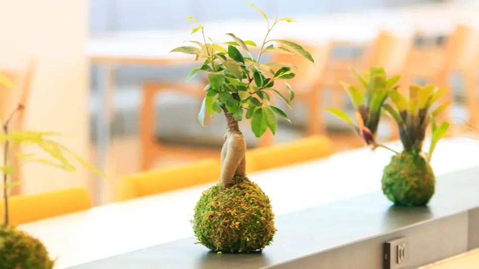 Richmond Hotel Himeji