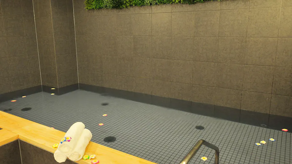 Grand Park Hotel The Luxueux Minami-Kashiwa