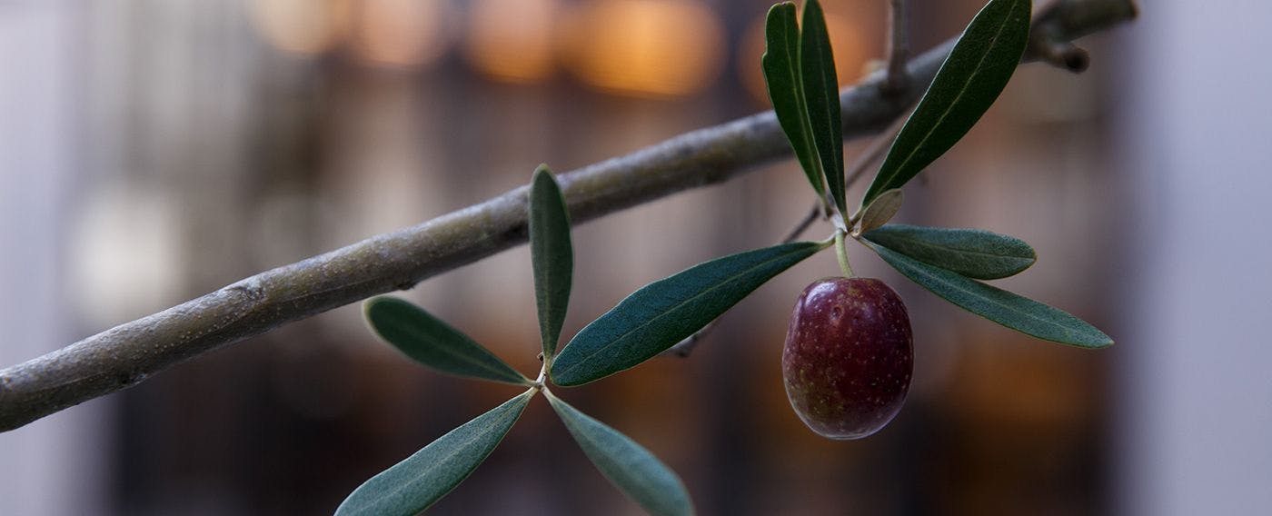 施設内イメージ