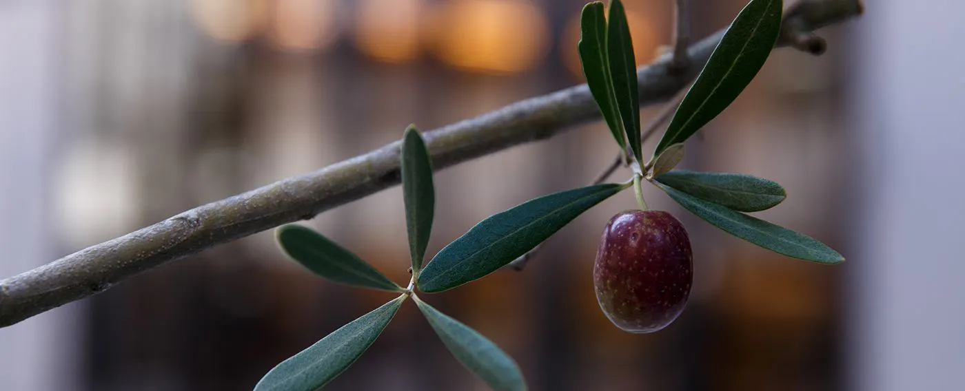 施設内イメージ