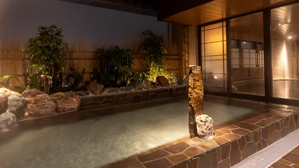 Natural Hot Spring Ougihama no Yu Dormy Inn Kawasaki