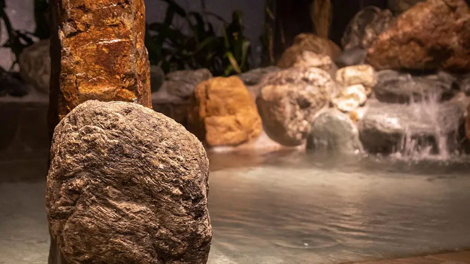 Natural Hot Spring Ougihama no Yu Dormy Inn Kawasaki