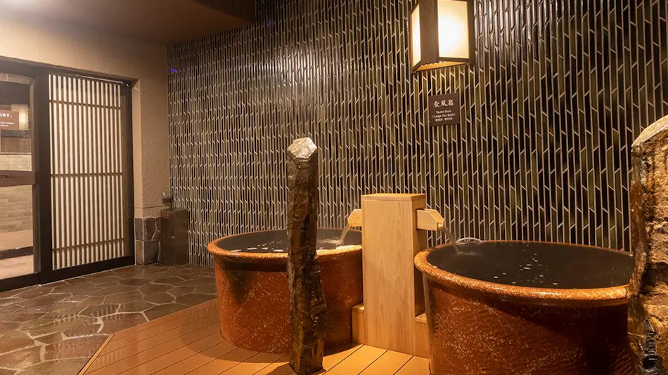 Natural Hot Spring Ougihama no Yu Dormy Inn Kawasaki