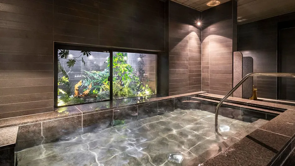 Natural Hot Spring Tsuzumi Gate no Yu Super Hotel Premier Kanazawa Station East Exit
