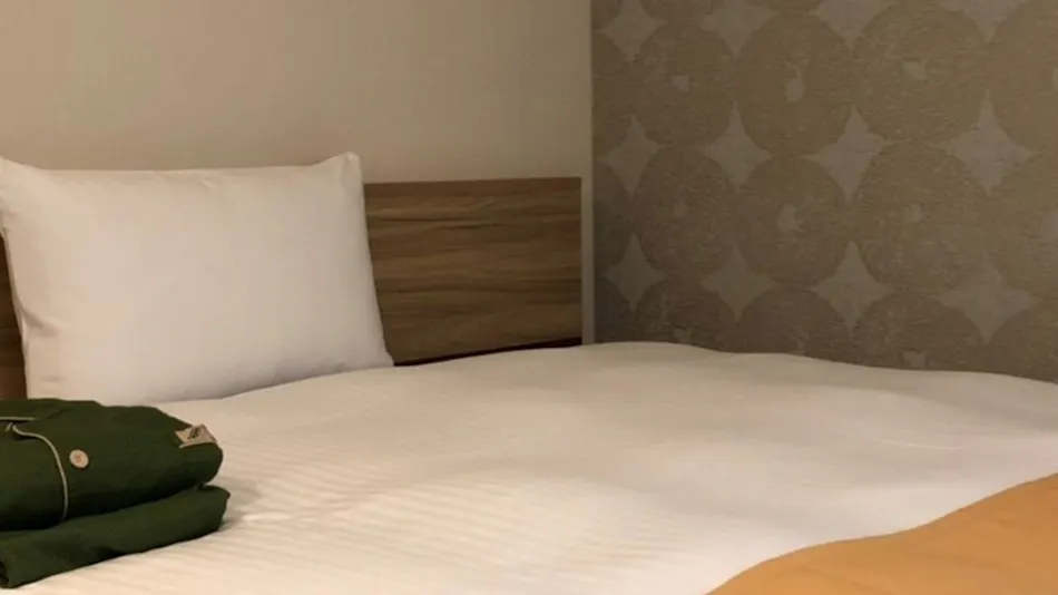 Kuretake Inn Premium Meieki Minami