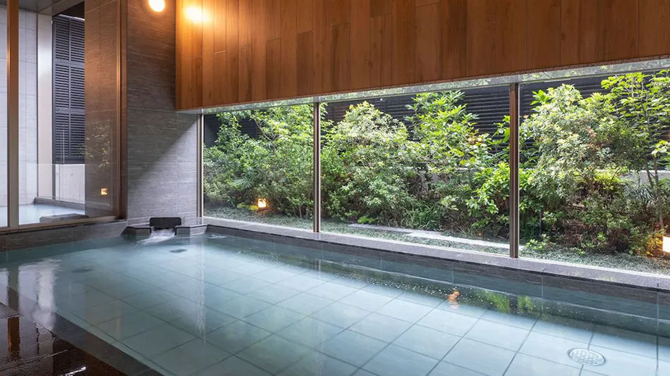 HOTEL MYU STYLE INUYAMA experience