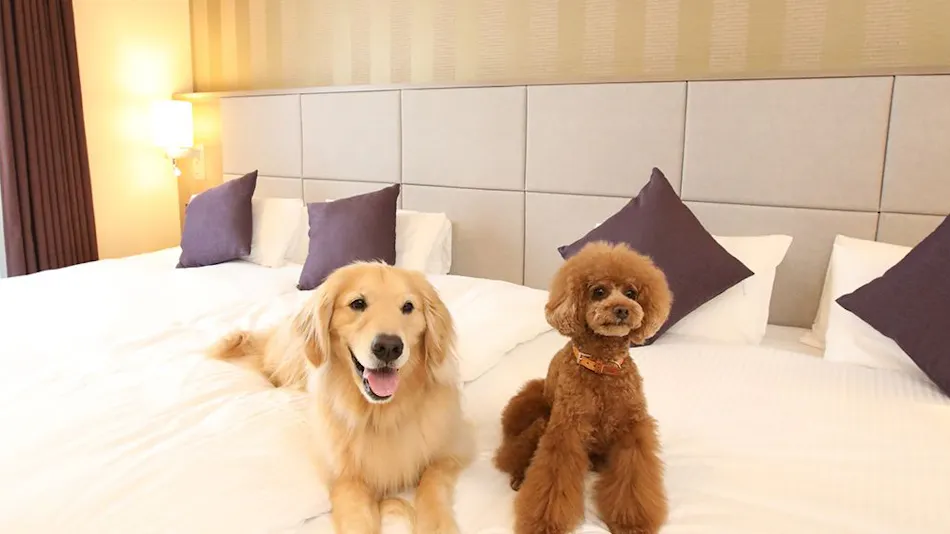 inumo Shiba Park by Villa Fontaine