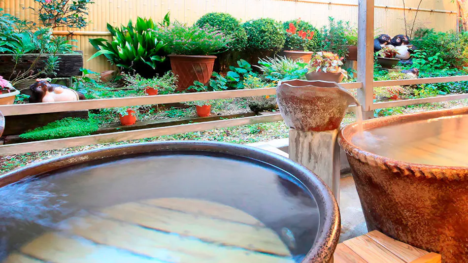 Yusaka Onsenkyo Kamogawaso