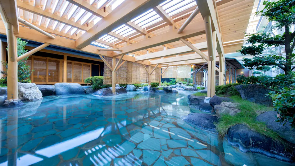 Awara Onsen Seifuso