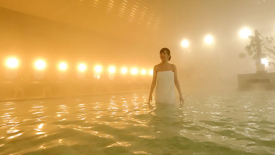 Awara Onsen Seifuso