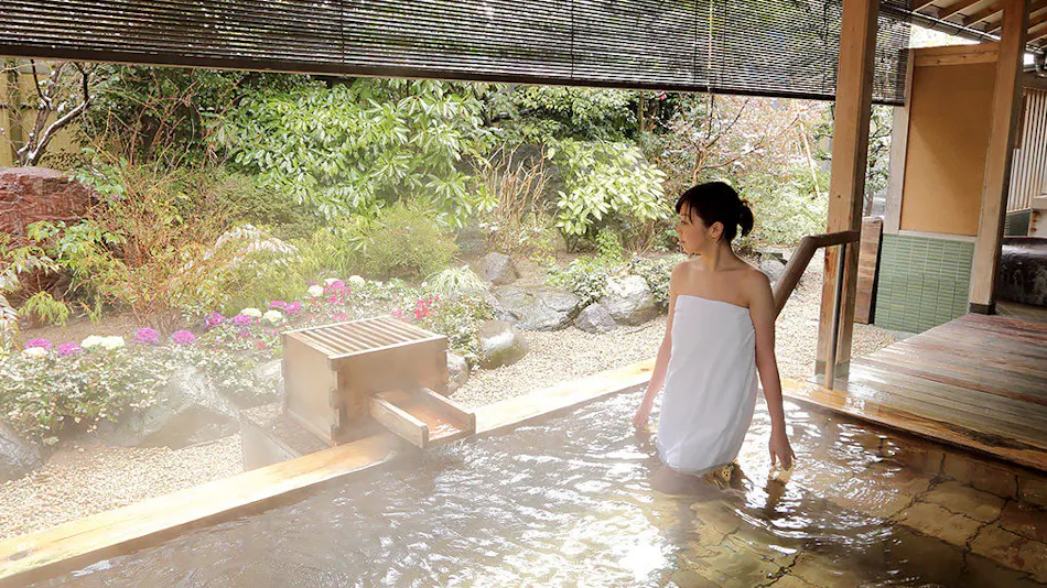 Awara Onsen Seifuso