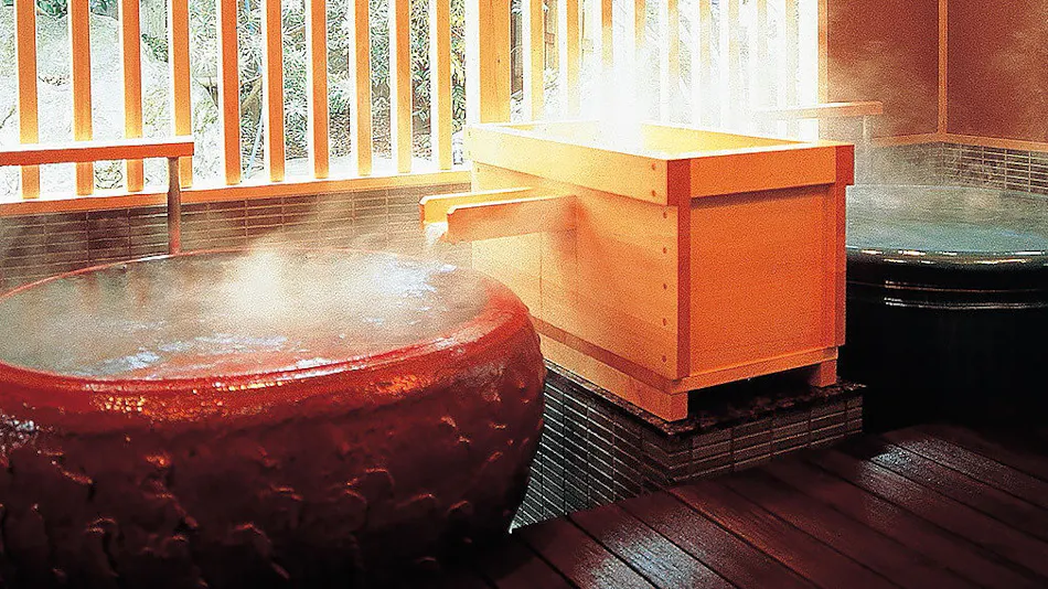 Awara Onsen Seifuso